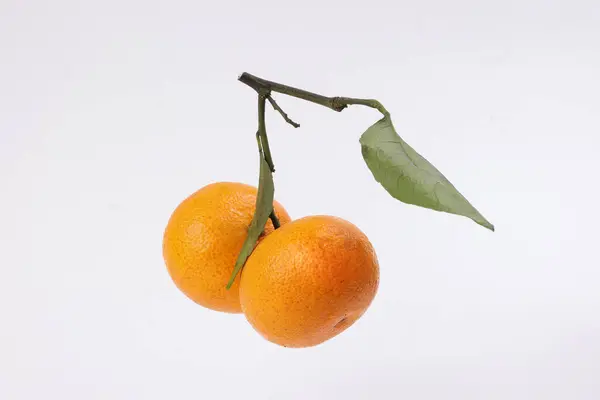 Zwei Mandarinenorange Grüne Blatt Hängen Auf Weißem Hintergrund — Stockfoto