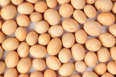 Beyaz arkaplanda Soyabean yığını