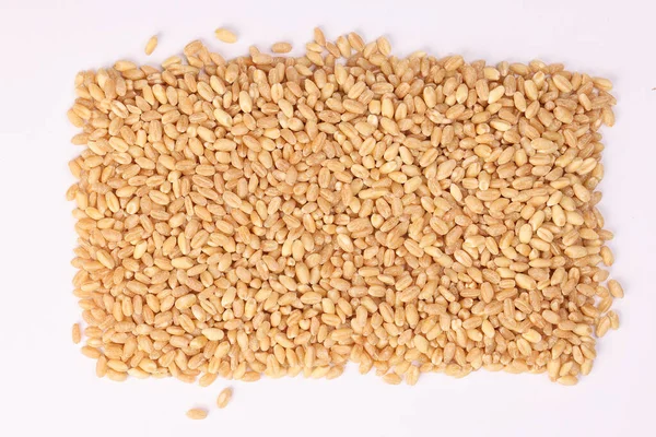 白背景小麦籽粒 — 图库照片