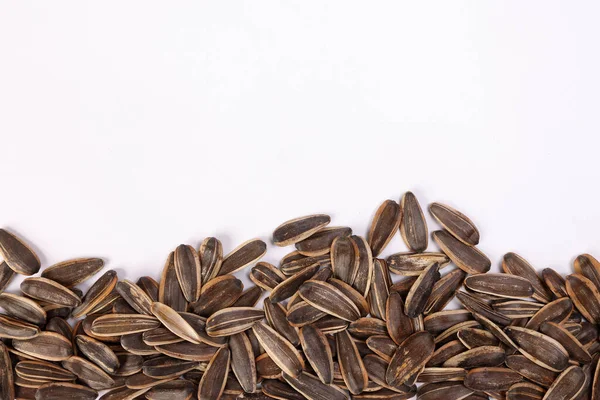 Ayçiçeği tohumu yatay çizgi çerçeve kenarlık metin alanını beyaz arkaplanda kopyala