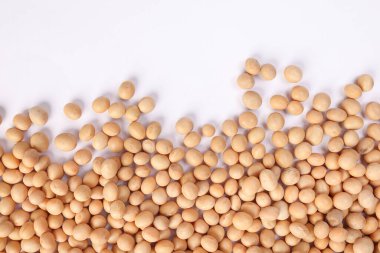 Soya fasulyesi yatay çerçeve çerçeve beyaz arkaplan üzerindeki metin boşluğu