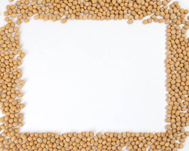 Soyabeans soya fasulye sınır çerçeve metin alanı beyaz arkaplan kopyala