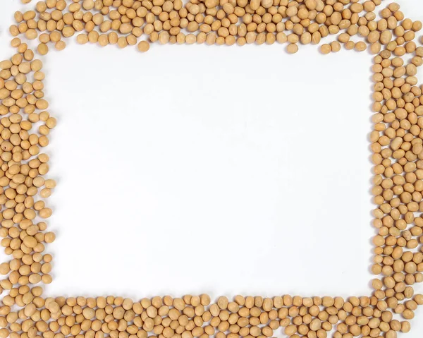 Soyabeans soya fasulye sınır çerçeve metin alanı beyaz arkaplan kopyala