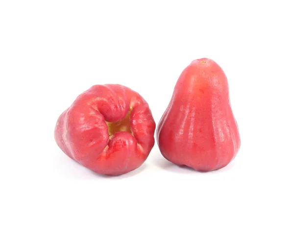 Campana rossa Frutta — Foto Stock