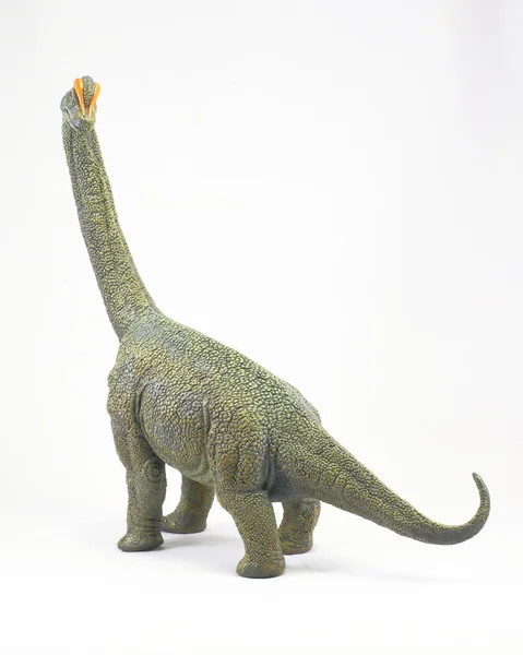 giant diplodocus