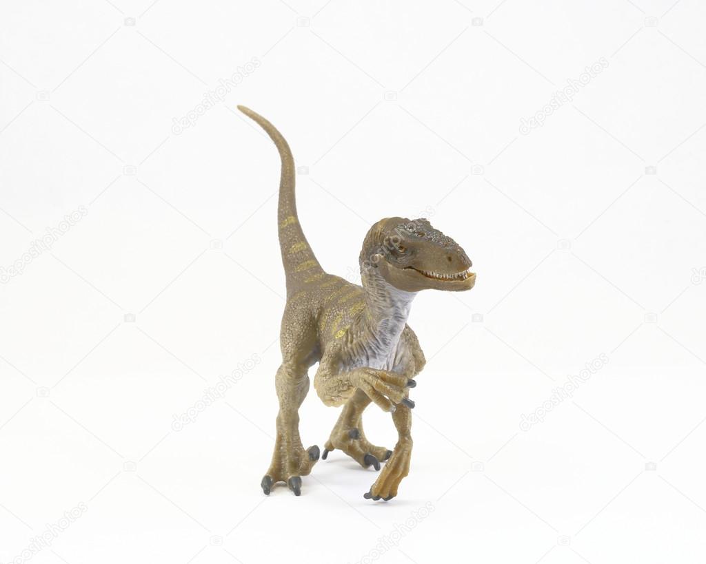 Velociraptor Dinosaur toy