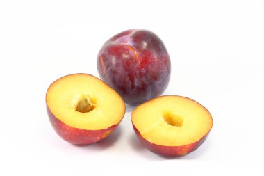 Erik yarım kesim ile tohum