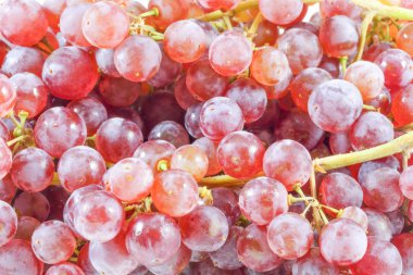 Şampanya üzüm kırmızı 