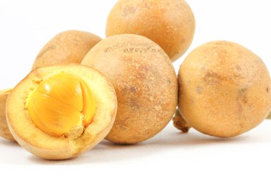 Egzotik yabani meyve Tampoi