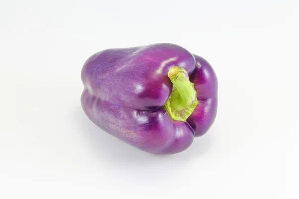 Pimenta violeta Capsicum Bell — Fotografia de Stock