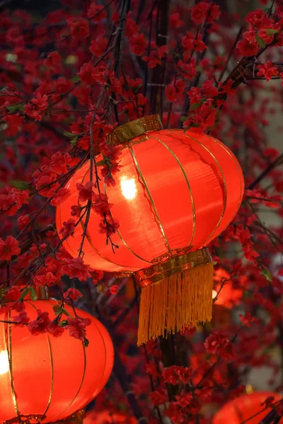 Chinesische Laterne beim chinesischen Neujahrsfest — Stockfoto