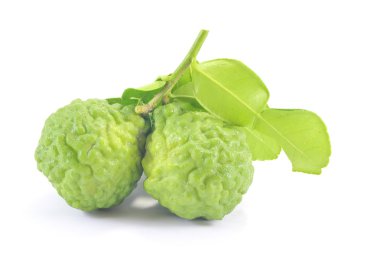 Güney Afrika'da bir kabile kireç narenciye hystrix 