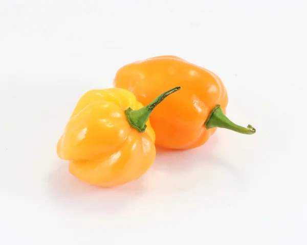 habanero biber