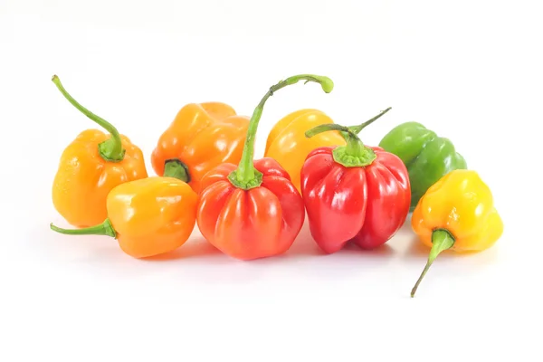 Habanero Chili Pepper — Stock Photo, Image