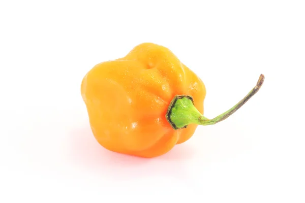 Cabai Habanero — Stok Foto