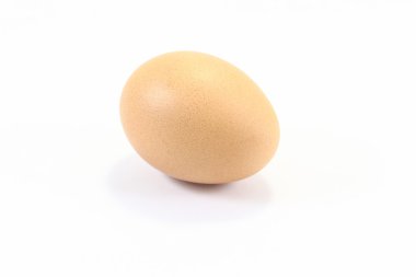 Bir Taze Tavuk Yumurtası
