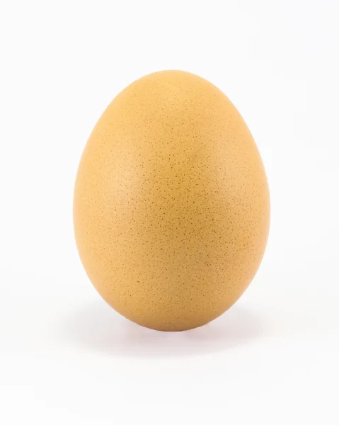 Одне свіже куряче яйце — стокове фото