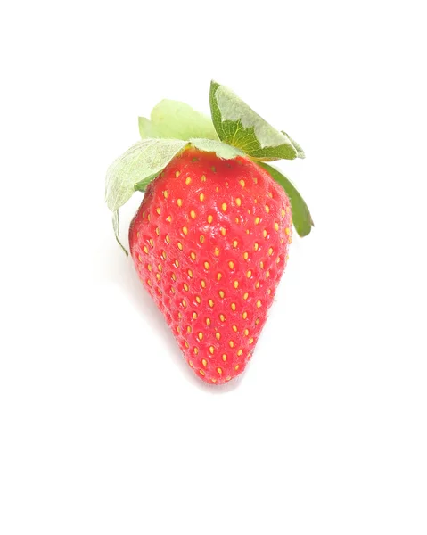 Fresa fresca sobre fondo blanco — Foto de Stock