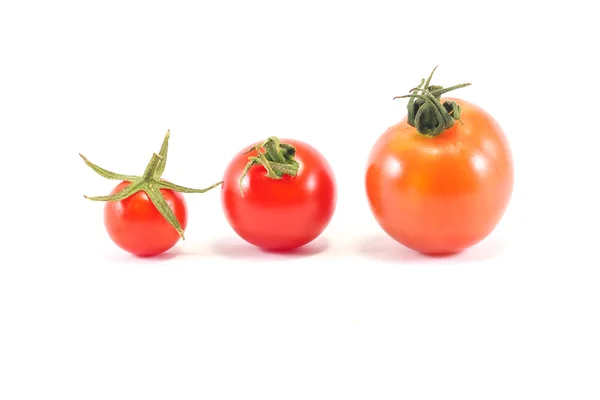 トマト様々 な色の品揃え — ストック写真