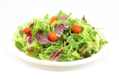 sağlıklı yeşil salata 
