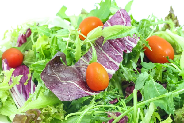 Salada de jardim saudável — Fotografia de Stock