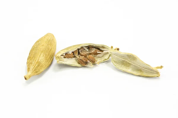 Especia fragante de cardamomo — Foto de Stock