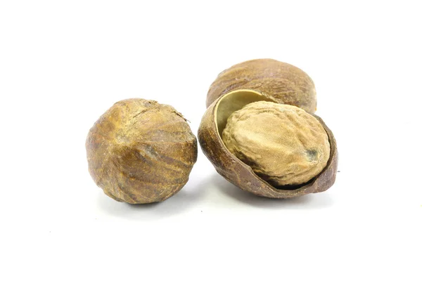 Мускатный орех семена специй — стоковое фото