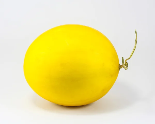 Melone canarino dolce frutto giallo — Foto Stock