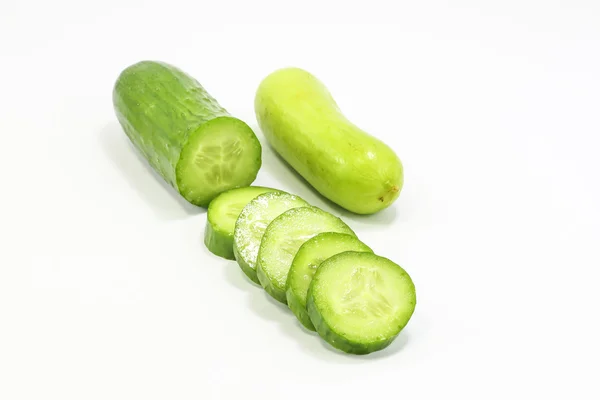 Cucumber Cucumis sativus — Stock Photo, Image