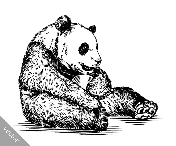 Mengukir gambar tinta panda ilustrasi Stok Ilustrasi Bebas Royalti