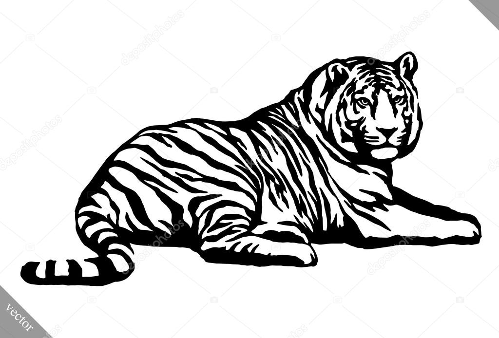 tiger drawing easy witte inkt tijger zwarte en tekenen vector illustratie tiger drawing easy witte inkt tijger zwarte en tekenen vector illustratie
