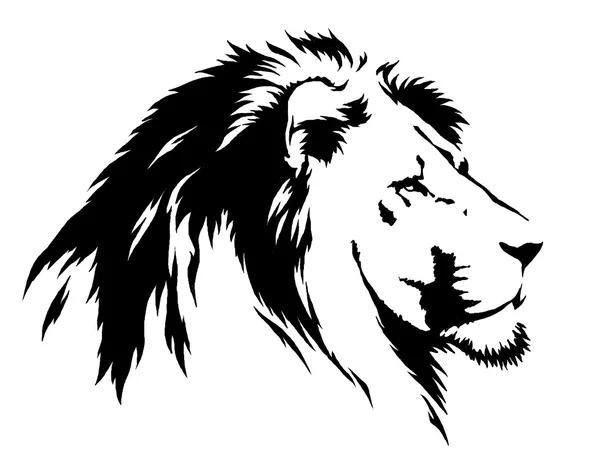 Black and white linear paint draw lion illustration Royalty Free Stock Photos