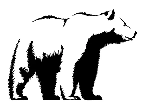 ᐈ Bear outline drawing stock images, Royalty Free bear outline pictures ...