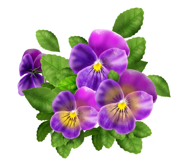 Viola tricolor Flor de primavera isolada em papel branco, fundo abstrato para cartão de felicitações de férias. Ilustração digital. Padrão do modelo . — Fotografia de Stock