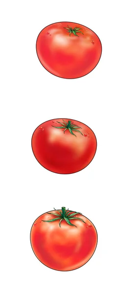 Stripe red Tomatoes digital illustration — Stock Photo, Image