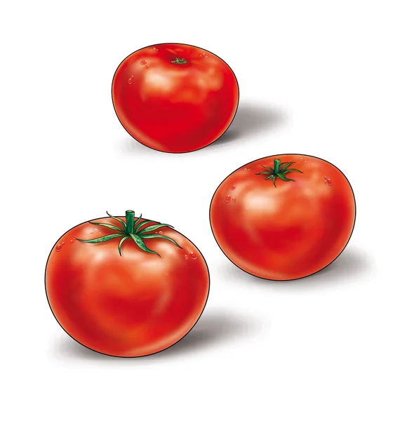 Tres tomates, vegetales, bodegón, ilustración digital — Foto de Stock