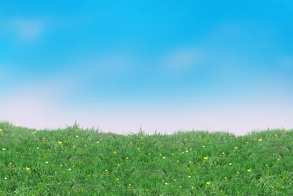 Paisaje de verano cielo azul claro y hierba verde, ilustración digital . — Foto de Stock