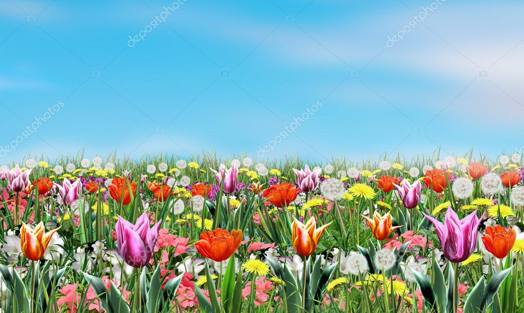 Beautiful Flowers and blue sky Spring Floral background, digital ...