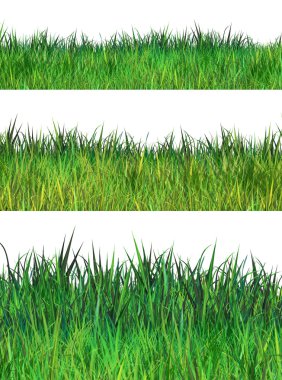 Green grass set. Realistic Digital illustration. Green grass stripes on white background.