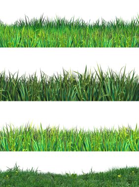 Green grass set. Realistic Digital illustration. Green grass stripes on white background.