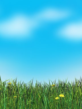 Green grass and blue sky. Digital illustration