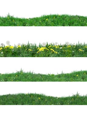 Green grass set. Realistic Digital illustration. Green grass stripes on white background.
