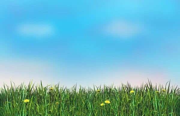 Green grass and blue sky. Digital illustration — Stok fotoğraf