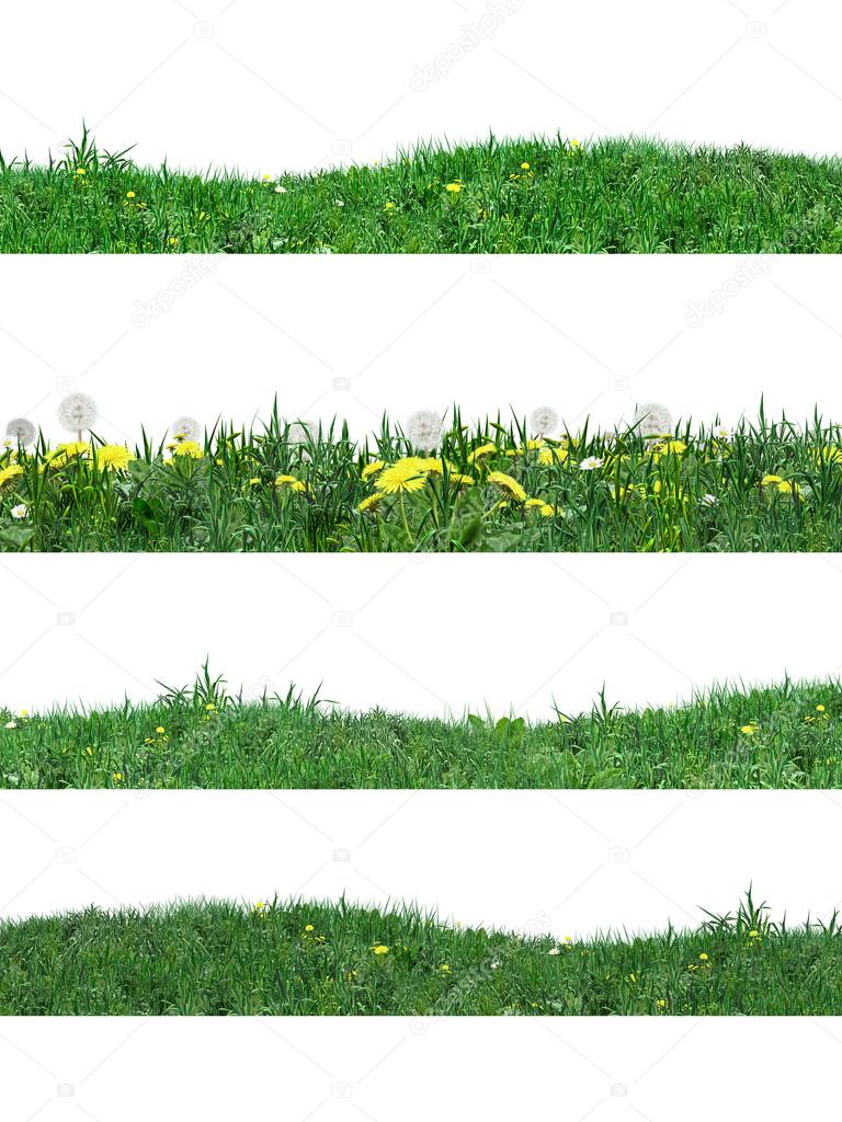 Green grass set. Realistic Digital illustration. Green grass stripes on white background.