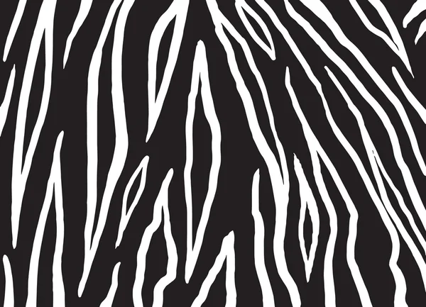 Textura rayas de cebra. Fondo rayado abstracto. ilustración digital . — Archivo Imágenes Vectoriales