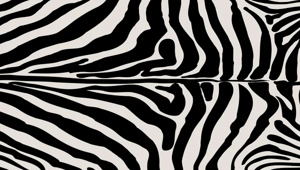 Struttura a strisce di zebra. Sfondo astratto a strisce. illustrazione digitale . — Vettoriale Stock