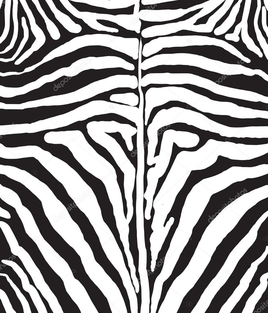 Free zebra strip stencil, cewe indo topless