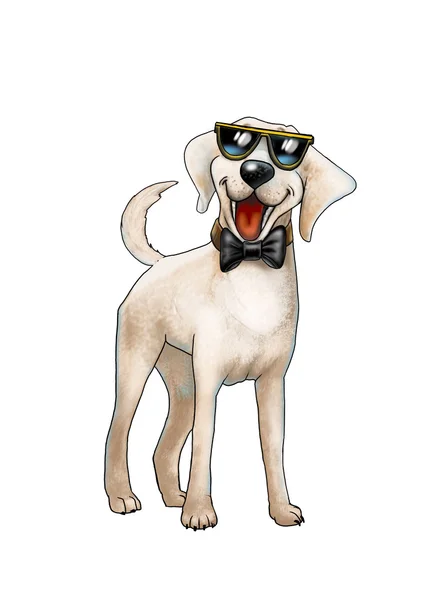 Dog Hipster. Labrador retriever with sunglasses and tie. Isolated on white background. Chinese New Year. Dog. Cartoon character. Illustration, Greeting card, poster, brochure cover, element, concept. — Stock Photo, Image