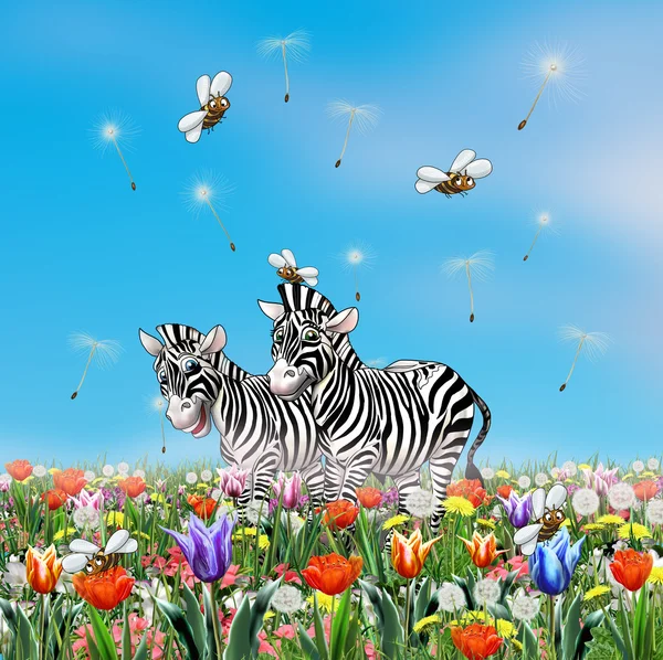Söta zebror. Zebras seriefigur. Zebras leende. Zebra illustration. Zebra karaktär, Zebra djur. Zebra isolerad på vitt. Zebra tecknade. Zebra illustration. Sommarlov. Par zebror. Romantiskt kort. Födelsedagskort. Barnens sommarinbjudan. — Stockfoto