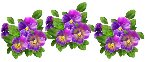 Stiefmütterchen Blumen auf weißem Hintergrund. Viola tricolor Blumen Wiese realistische Malerei. Stiefmütterchenfeld, Garten. Sommerblumen mehrfarbige Stiefmütterchen. Digitale Illustration. für Kunst, Print, Webdesign. — Stockfoto